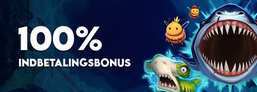 100% Indbetalingsbonus